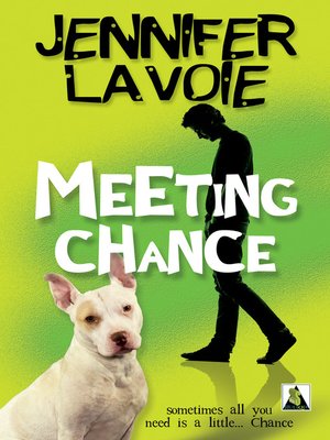 cover image of Meeting Chance